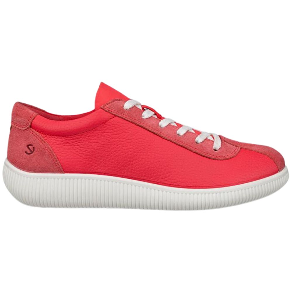 ECCO SOFT ZERO TEABERRY