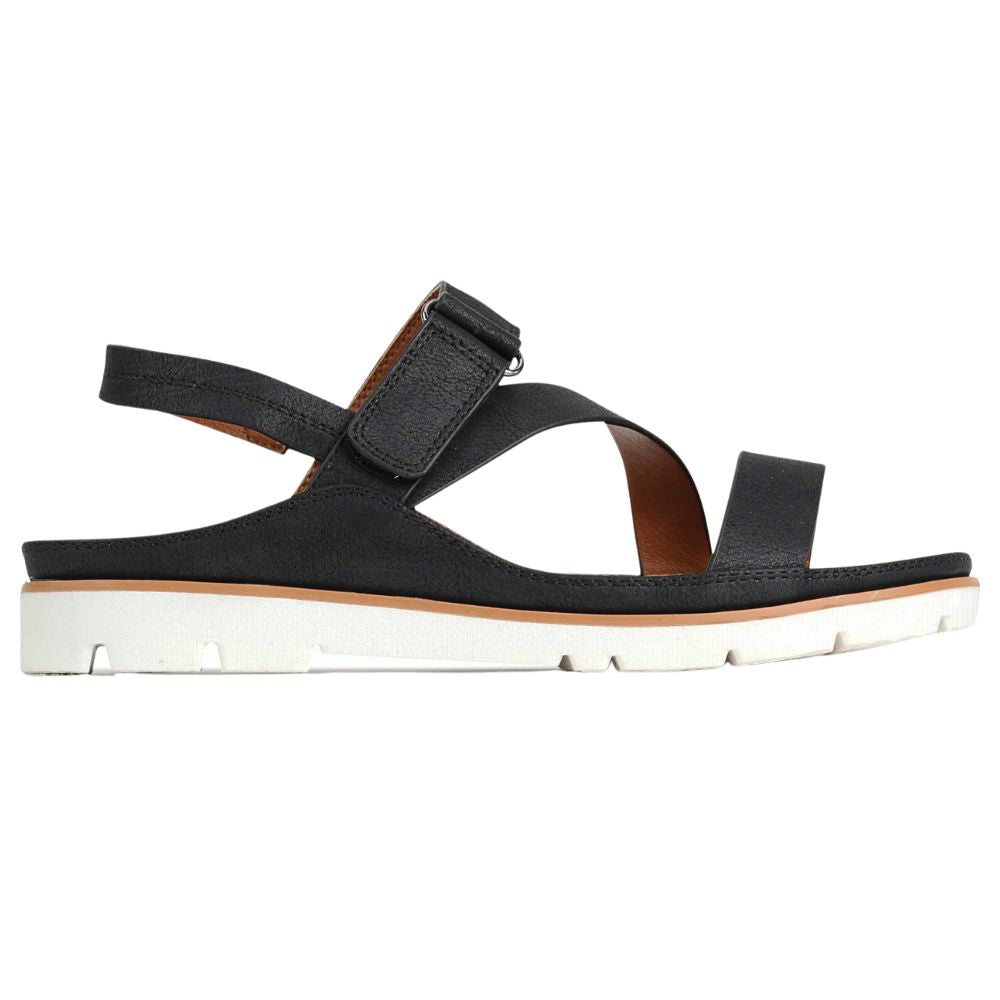 LOS CABOS ASHLI BLACK