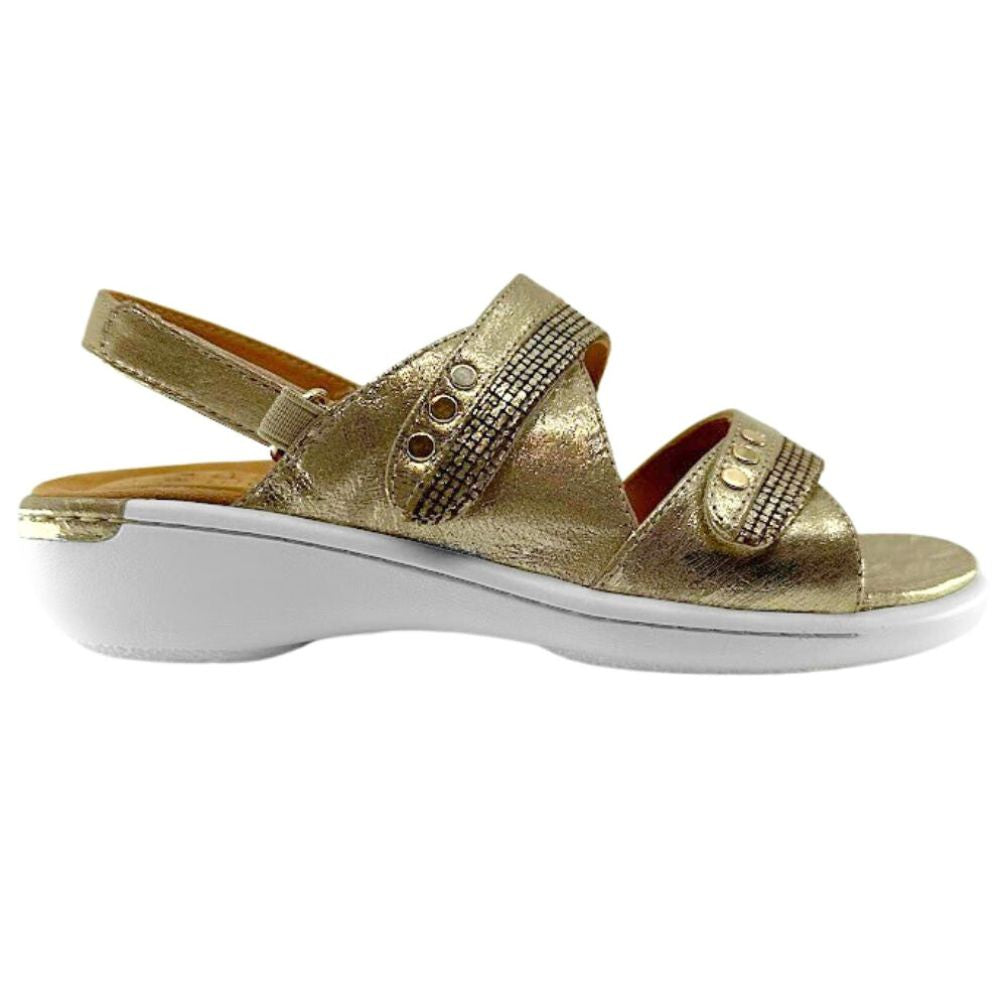 ZIERA BIZZY W OLD GOLD SCRATCH