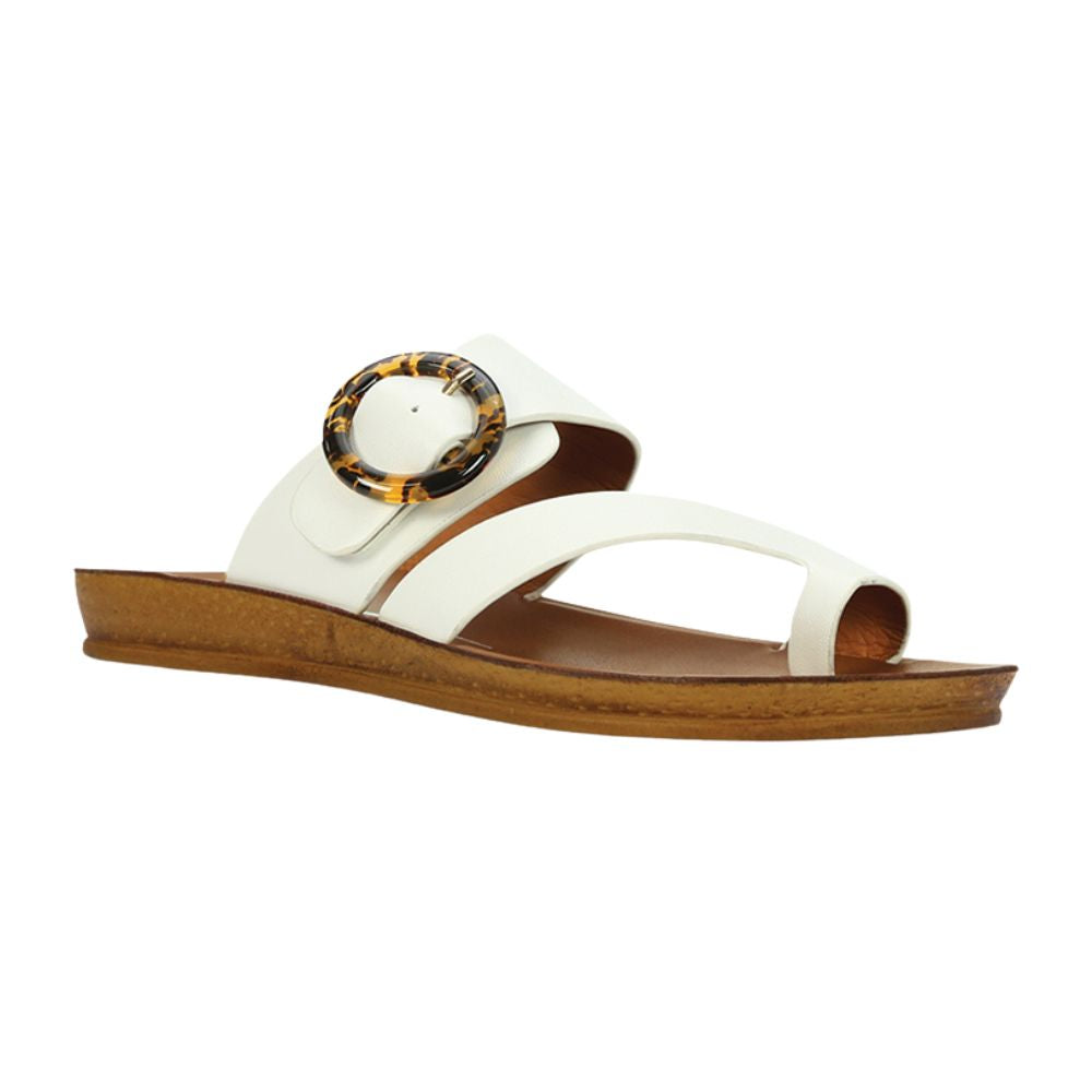 LOS CABOS DOTSIE WHITE