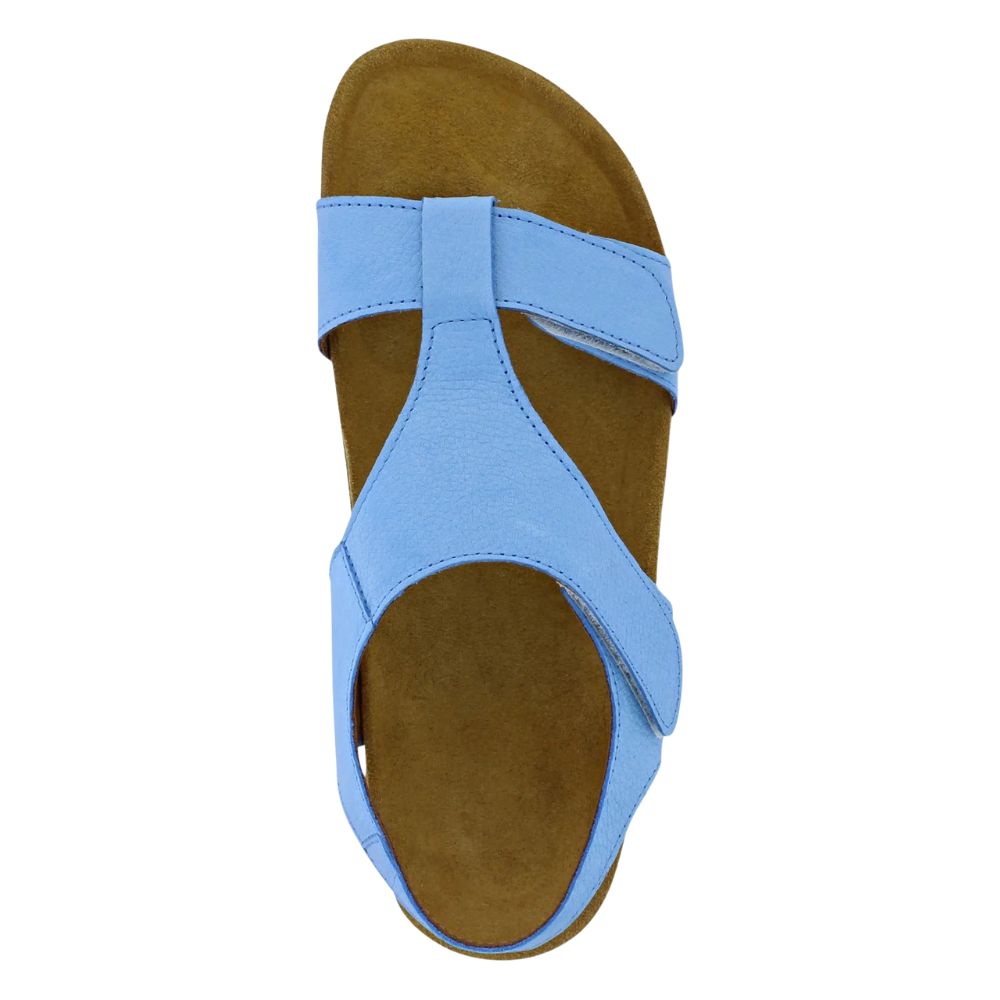 ADESSO TAME BLUE